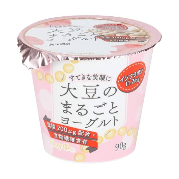Front view of product: Hori Nyugyo Whole Soybean Yogurt
